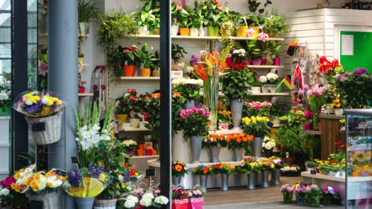 Price Reduced / Floral Shop with Great Cash Flow