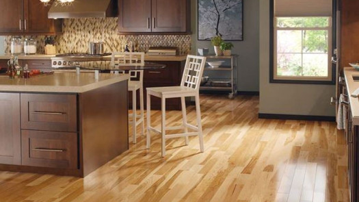 Established Flooring and Bath Remodeling Franchise