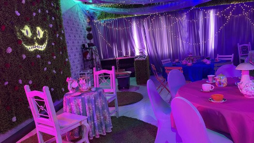 The Alice Experience