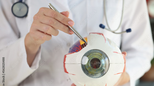 Ophthalmology and Laser Surgery Practice – FL