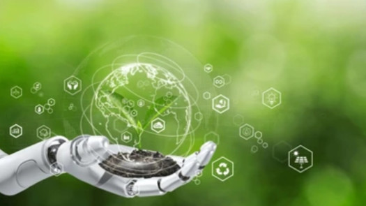 International Recycling Business for Sale