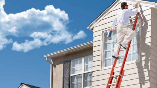 Premier Luxury Residential Painting Business