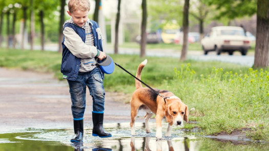 Highly Profitable Nice Pet Care Business in Charleston for Sale