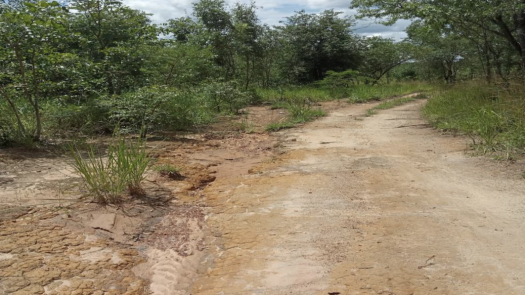 Mine - Large Scale Exploration License