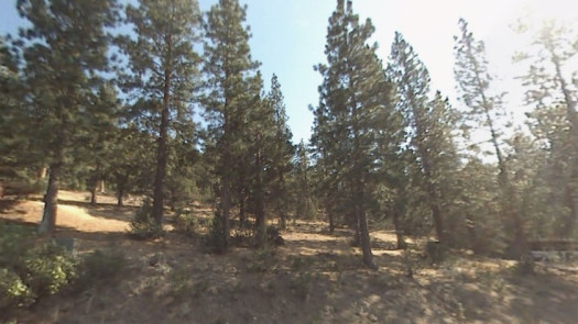 Half Acre in Lake Shastina