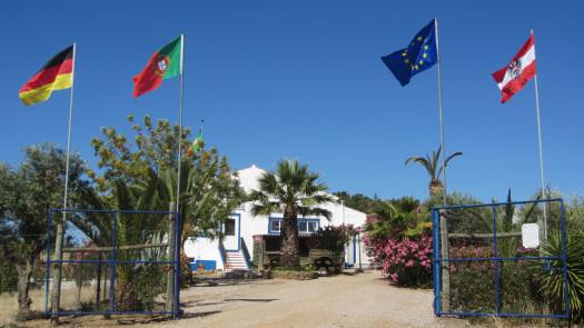 Property with Great Tourist Potential/ Alqueva