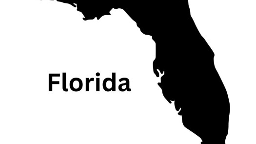 Brandon FL Chiropractic Practice & Building