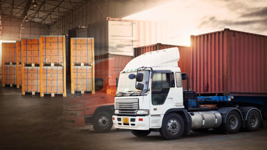 Established Logistics and Transportation Provider