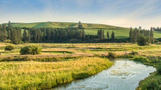 TriCities Sm Animal Clinic & RE - Motivated Seller