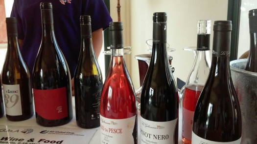 Wine and Food Importer