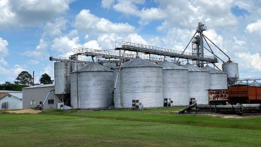 Turn Key Rice Milling Plant