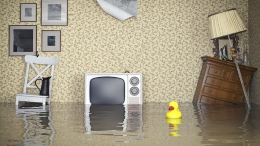 Established, Great Money Making Business for Sale