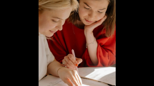 Semi-Absentee Tutoring Franchise in South Suburbs