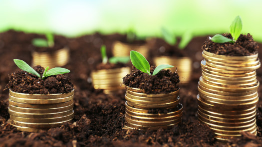 Seeking Extensive Partners For Business