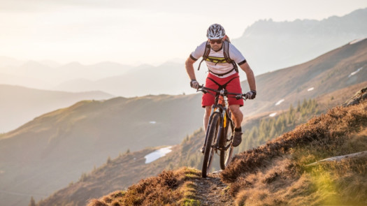 Highly Profitable Metro Denver Bicycle Shop