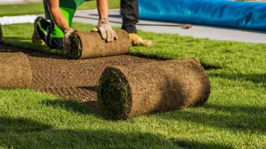 Profitable Landscape & Turf Installation Business