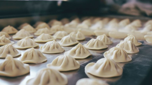 20+ Year Frozen Food Mfg.-Strong Growth Upside