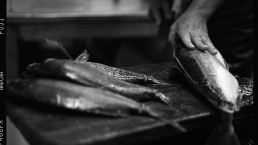 Profitable Seafood Business with Loyal Customers