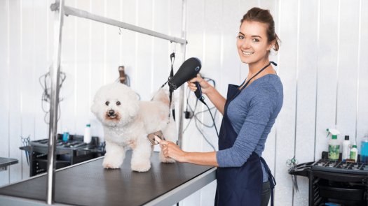 Profitable Holistic Pet Grooming