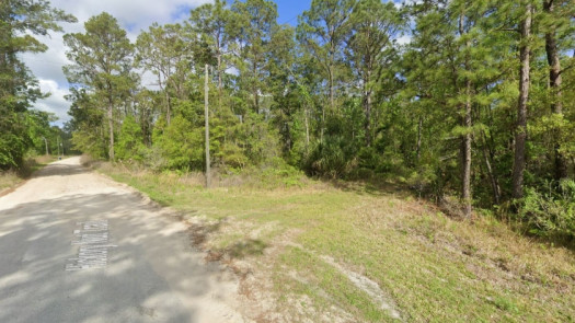 Nice Lot in Putnam County for Tiny Home or RV