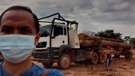 Wood Veneer Manufacture Project In Indonesia