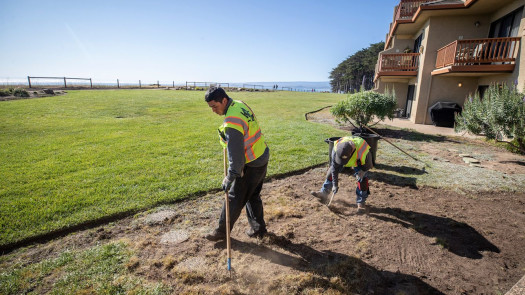 Established Landscaping, Snow Plowing, Hardscape & Concrete Company