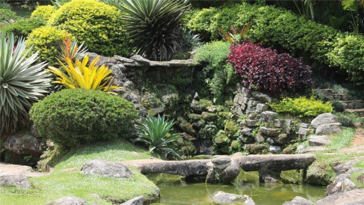 Luxury Landscaping & Swimming Pool Contractor