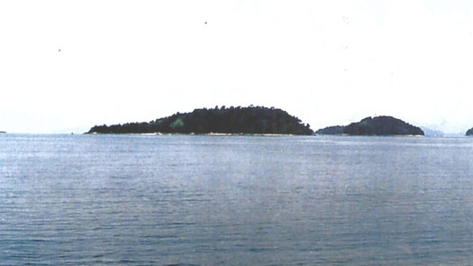 A Beautiful Island Near The Coast Of Brazil To Buy