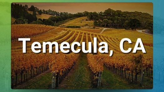 Thriving CA Chiropractic Clinic for Sale