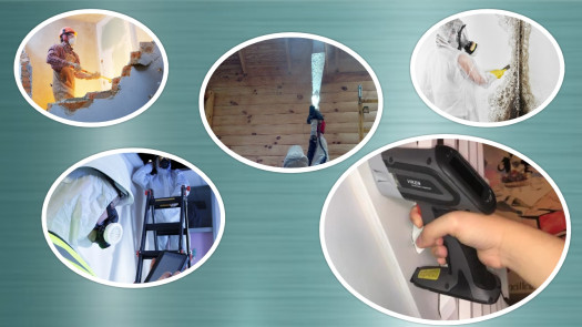 Mold Remediation & Demo Biz with Stability