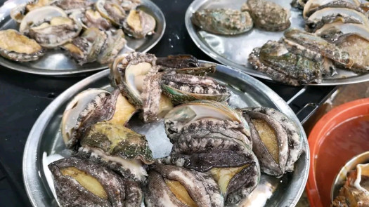 Abalone Farming in South Africa