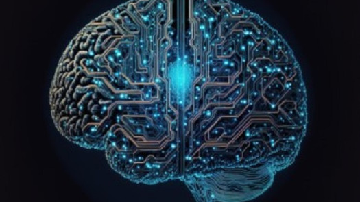 Therapeutic Rehab Tech Platform Recurring Revenue