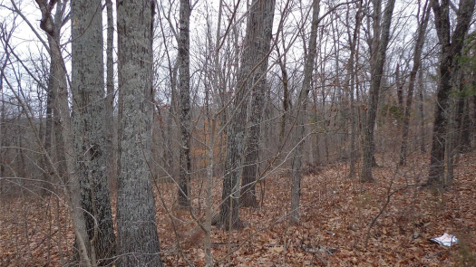 Lot in the Desirable Community - Hillsboro, MO