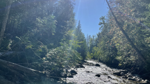 Creek Front Investment Opportunity