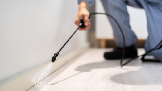 Established Pest Control Business with Strong Recurring Revenue