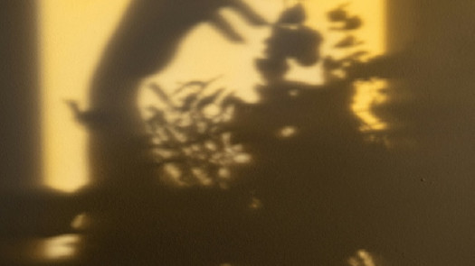 Growing Female Fashion Brand - Online & Wholesale