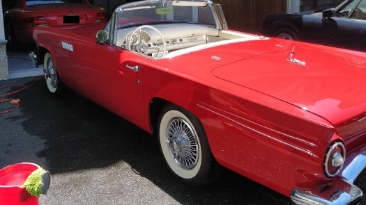 Mobile Auto Detailing Business for Sale in NY