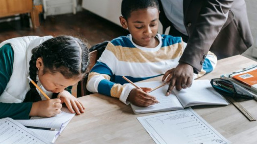 Semi-Absentee 2 Tutoring Franchises- Motivated