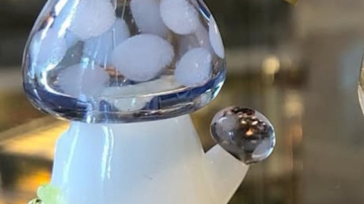 Established Smoke Shop in Prime Location