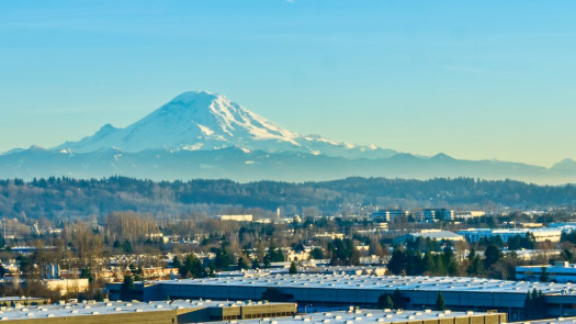 South-of-Seattle Endo Practice for Sale