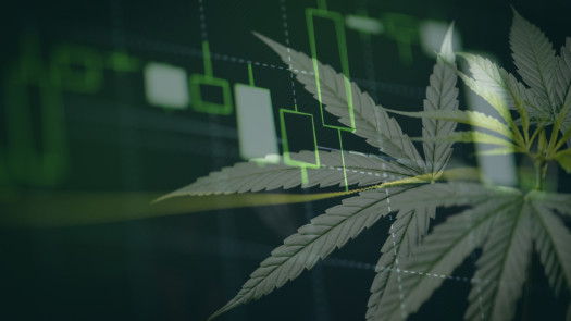 Profitable, Veteran-focused Virtual Medical Cannabis Clinic in Canada
