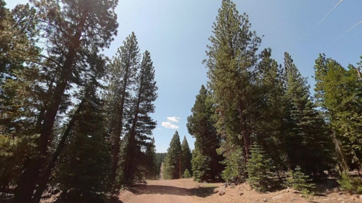One Acre Secluded Lot Near California Pines