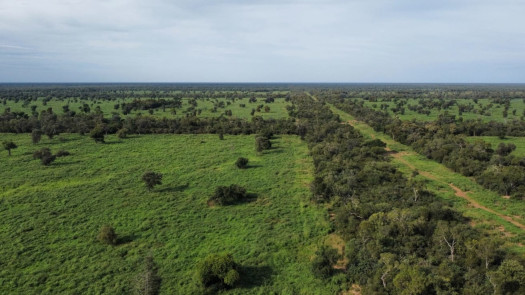 Ranch formed in the Paraguayan Chaco of 3,740 hectares