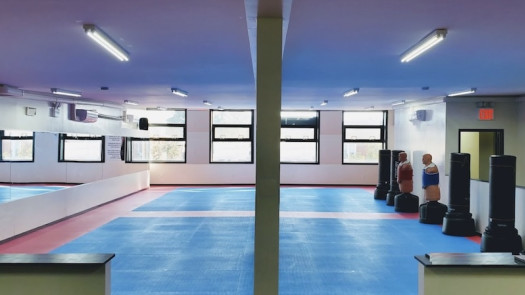 Martial Arts Business for Sale in New York