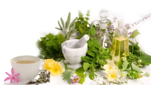 Naturopathic Medicine & Ayurvedic Clinic