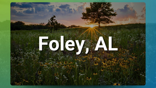 Foley AL Chiropractic Practice for Sale