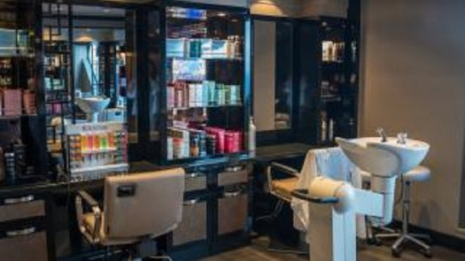 High-End Salon for Sale in Suffolk County