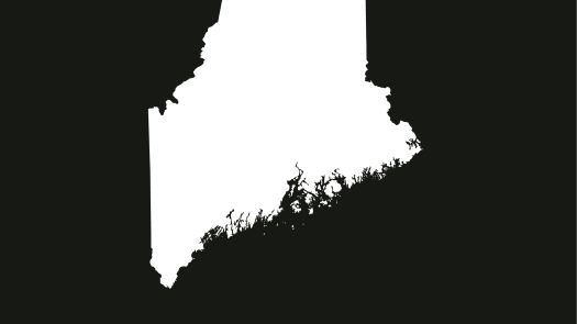 Turner, Maine, Practice for Sale