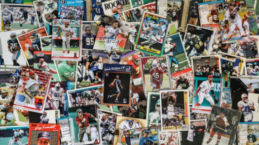 Established Sports Memorabilia & Card Shop + E-Com