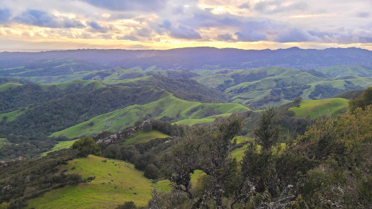 Chiropractic Practice for Sale in Walnut Creek, CA